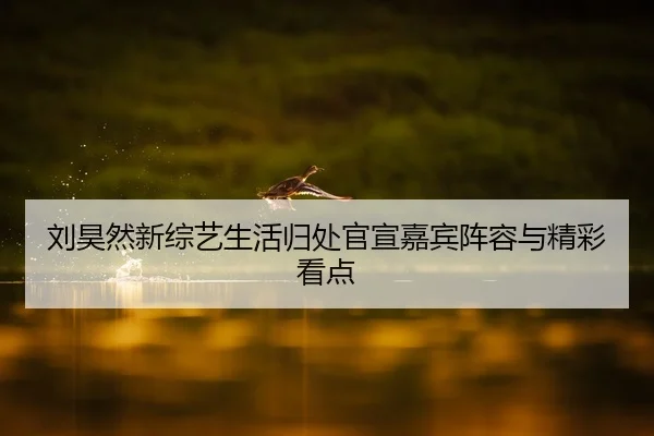 刘昊然新综艺生活归处官宣嘉宾阵容与精彩看点